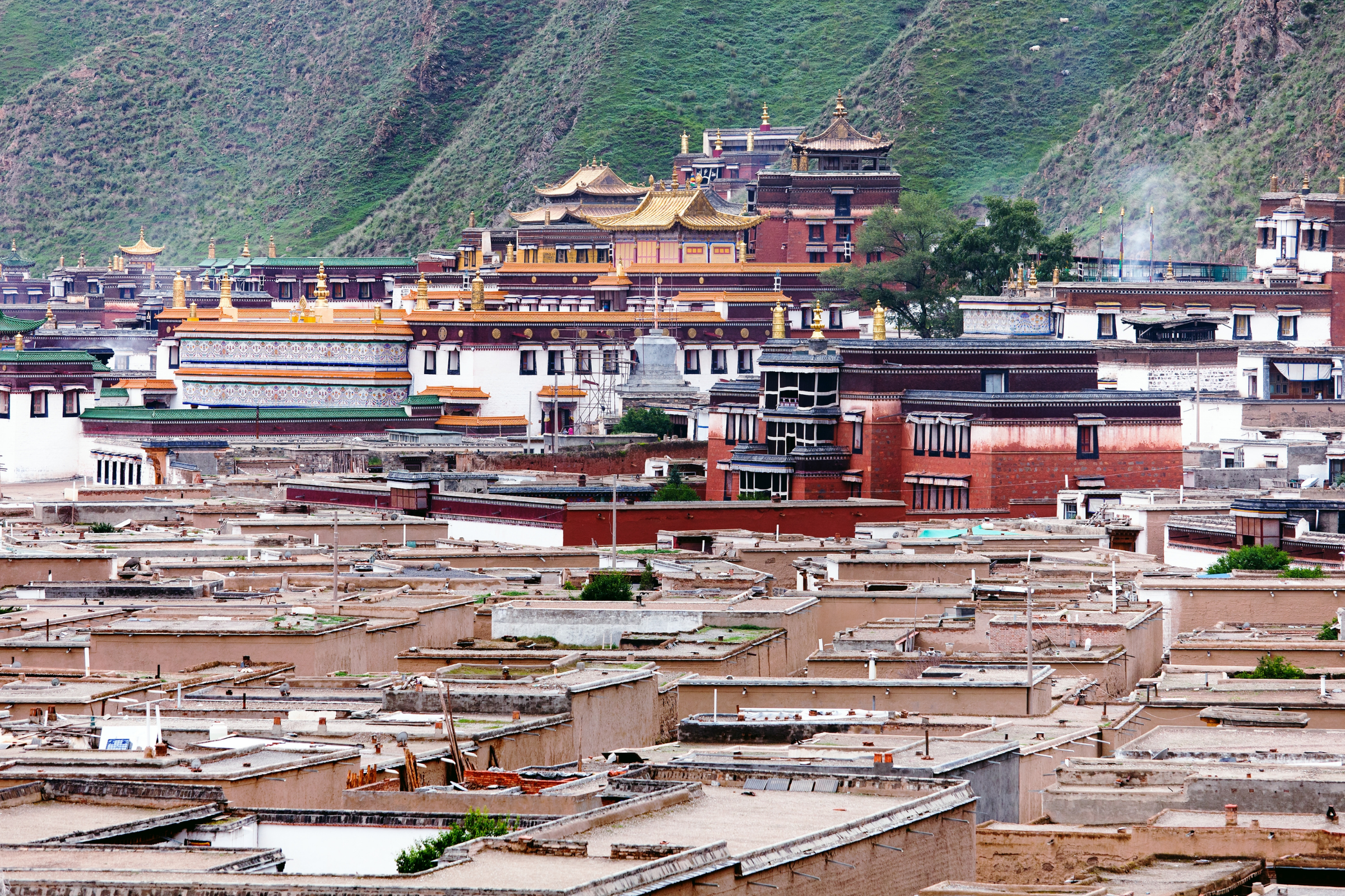 xiahe, gansu.webp